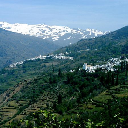 Casa Rural Cortijo El Potro Orgiva Ngoại thất bức ảnh