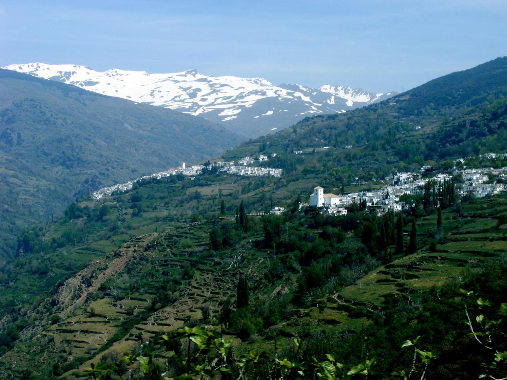 Casa Rural Cortijo El Potro Orgiva Ngoại thất bức ảnh
